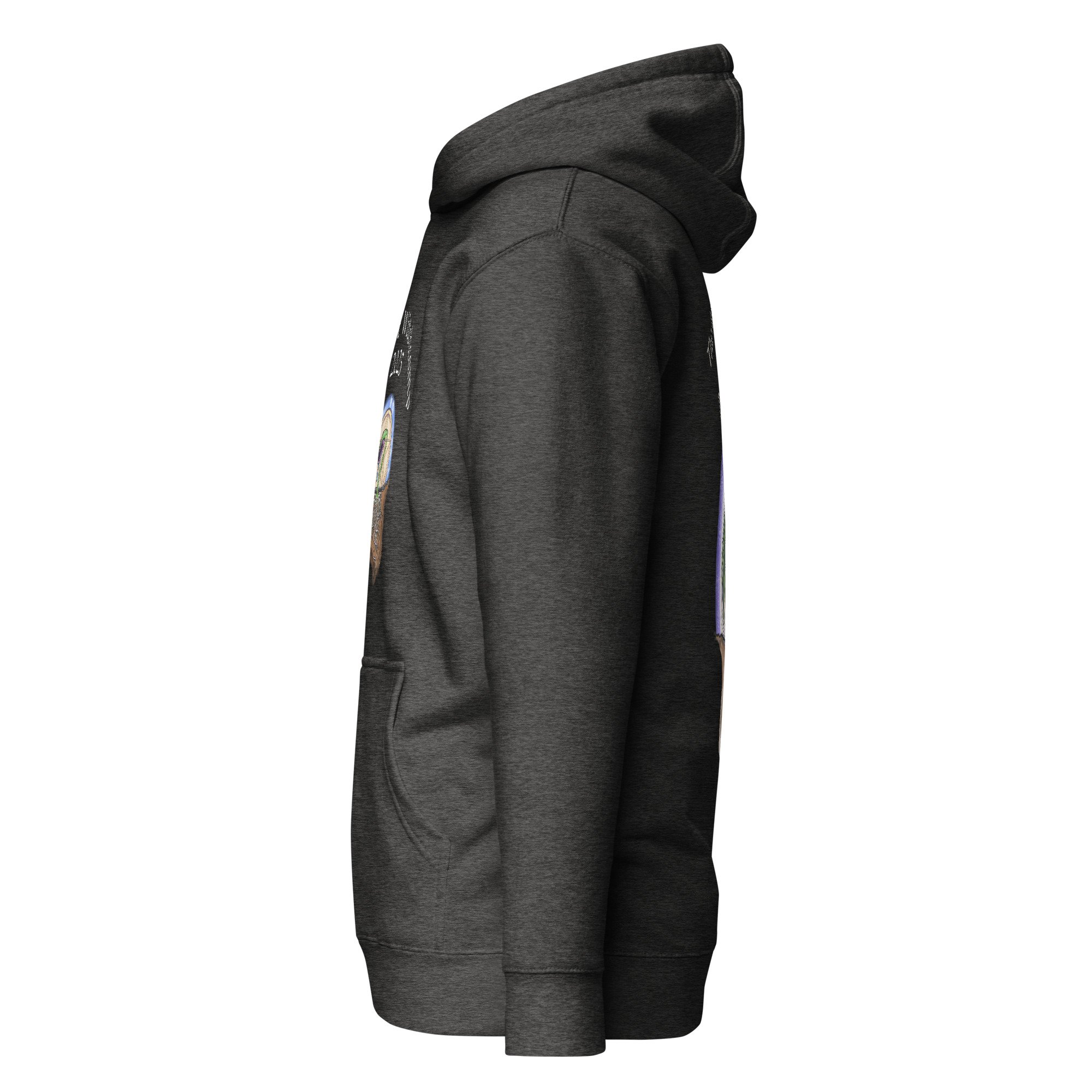 unisex-premium-hoodie-charcoal-heather-left-68780790cb6c5.jpg