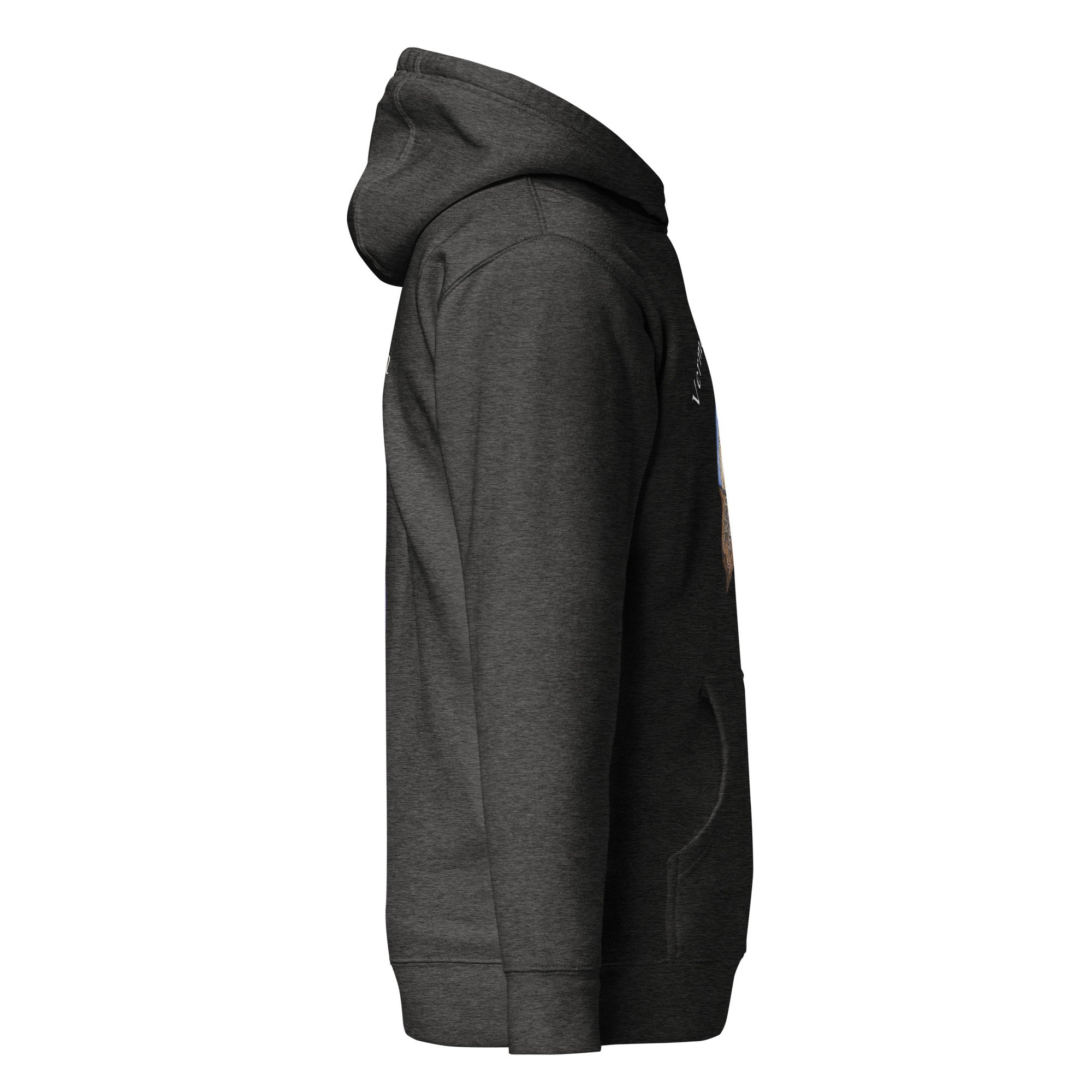 unisex-premium-hoodie-charcoal-heather-right-68780790cdd0a.jpg
