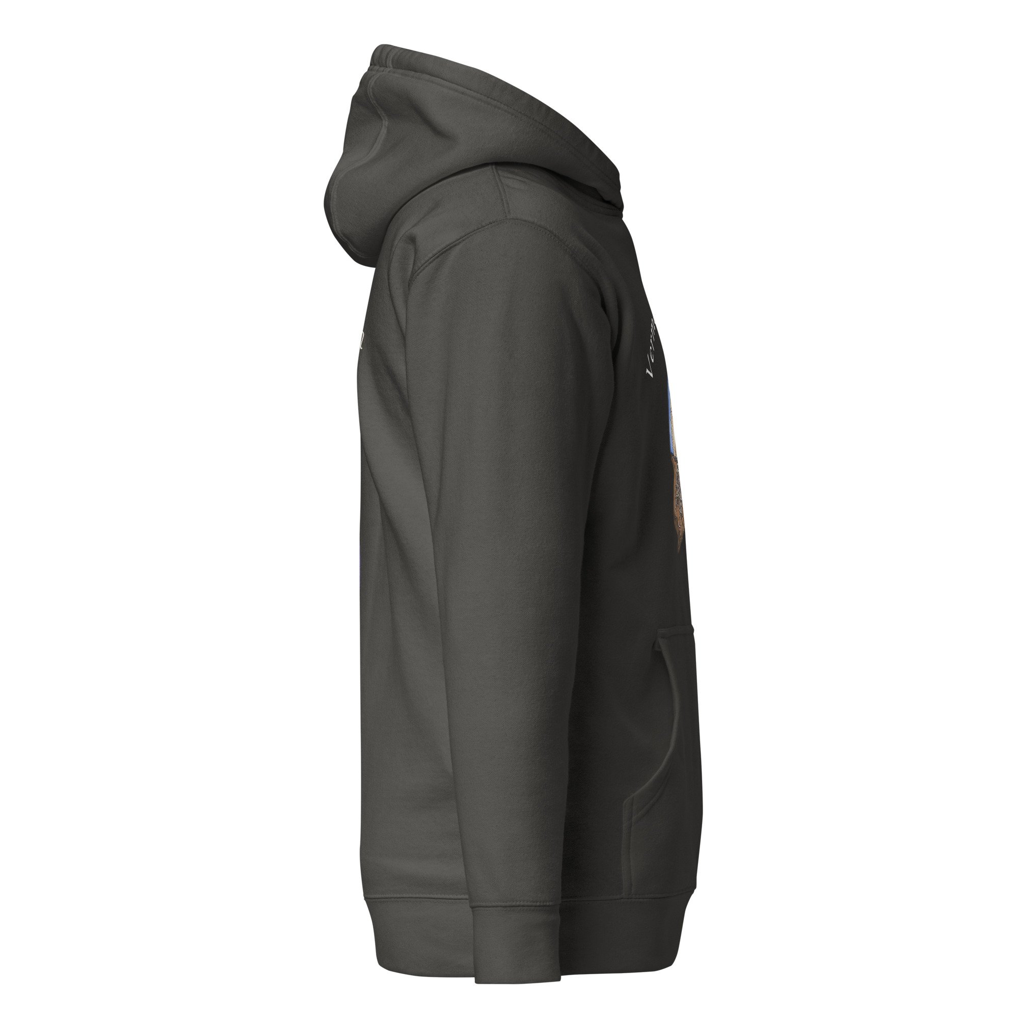 unisex-premium-hoodie-vintage-black-right-68780790dec9f.jpg