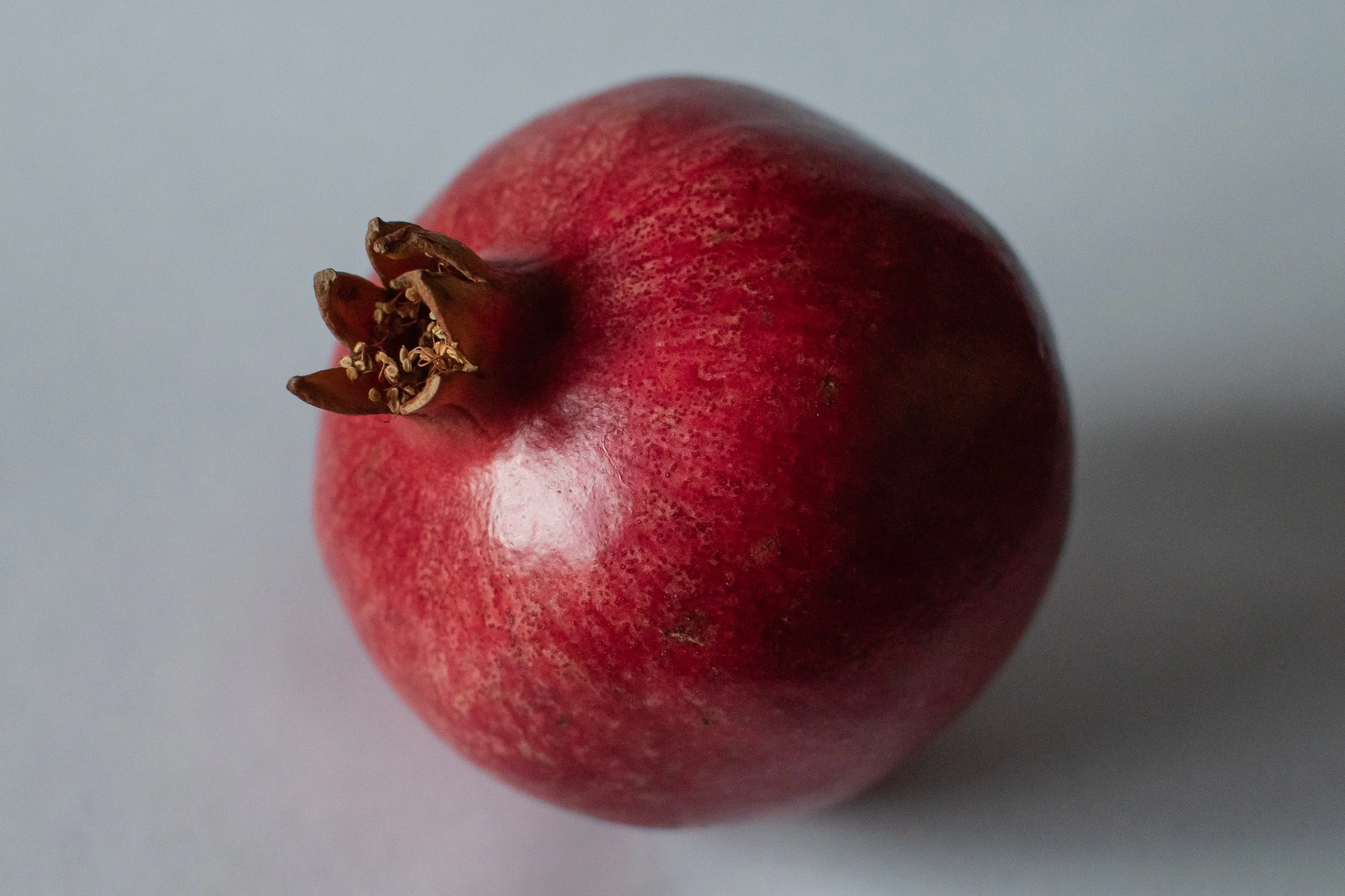 Pomegranate Postcard