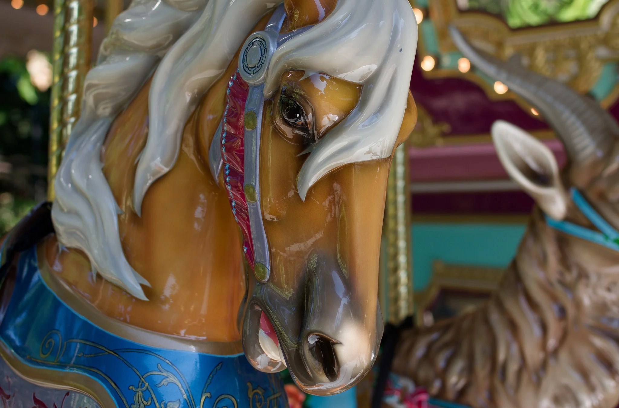 Carousel Horse Postcard