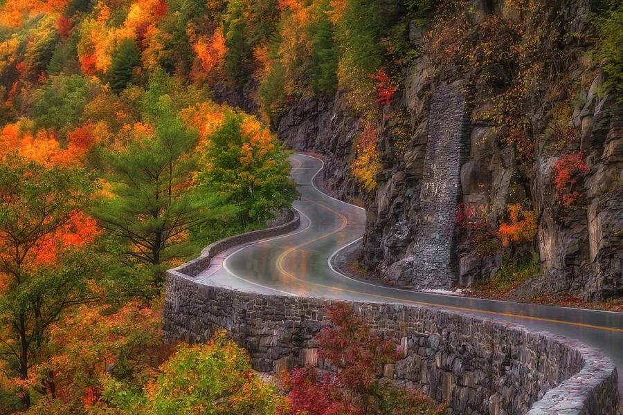 autumn-at-hawks-nest-road-susan-candelario.jpg
