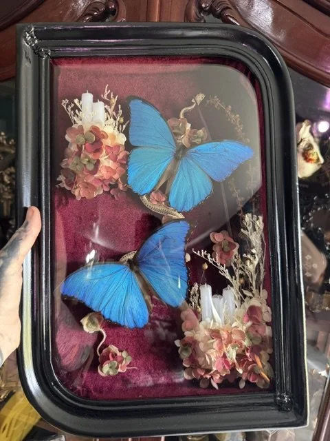 Morpho and the Surpent