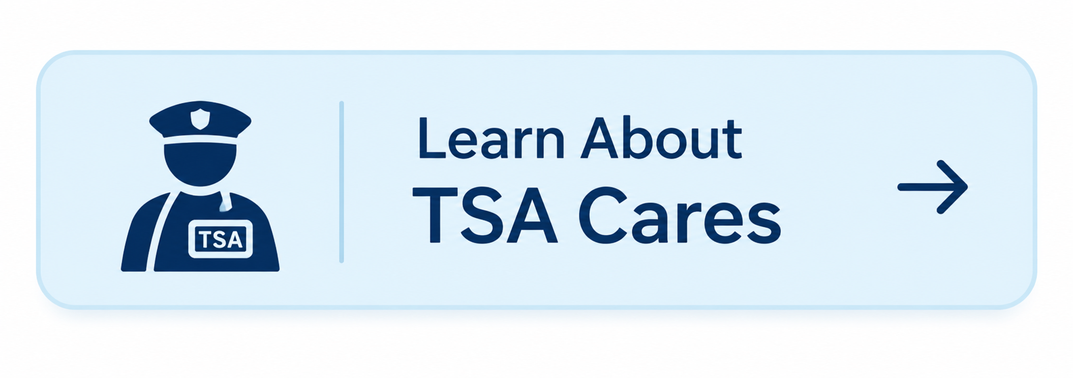tsa cares autism flying