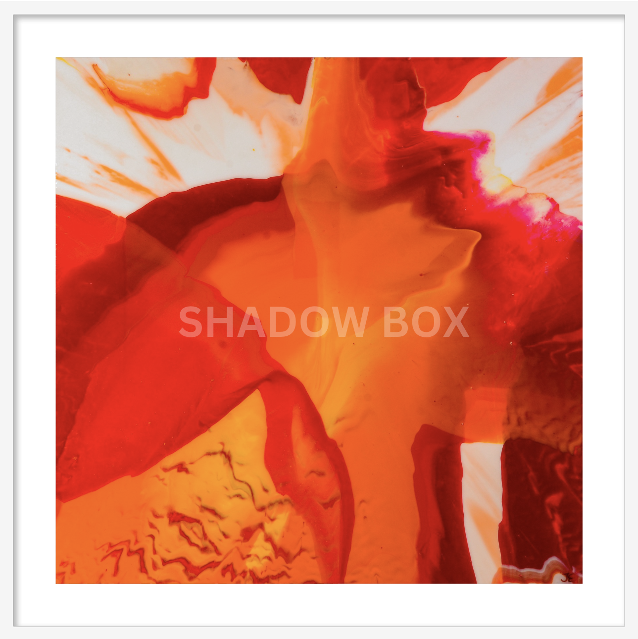 The Blooming of Life Shadow Box glass frame.png