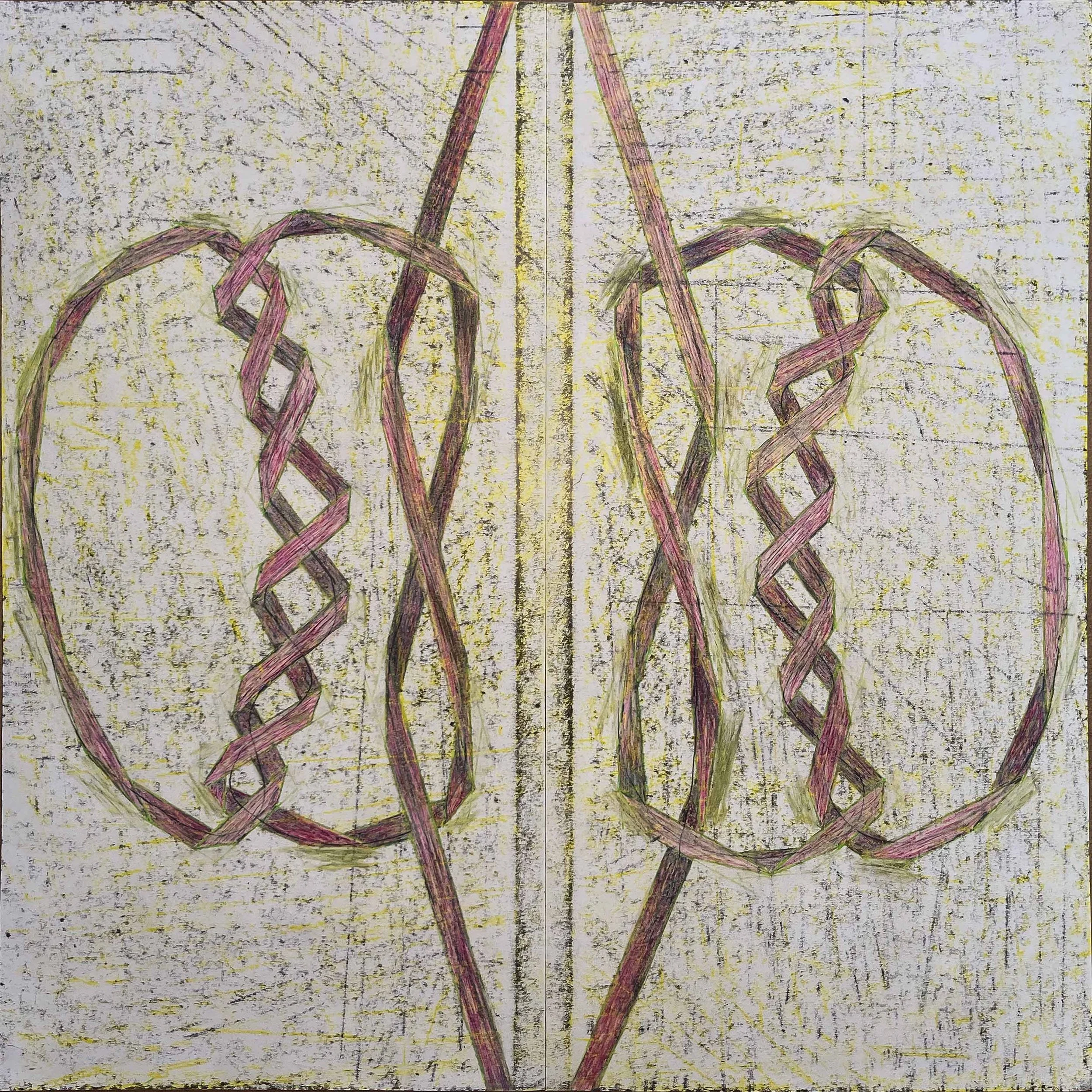 Two Surgical Knots | 24”x24” | color pencil, graphite & crayon on bond card stock. 2025.
