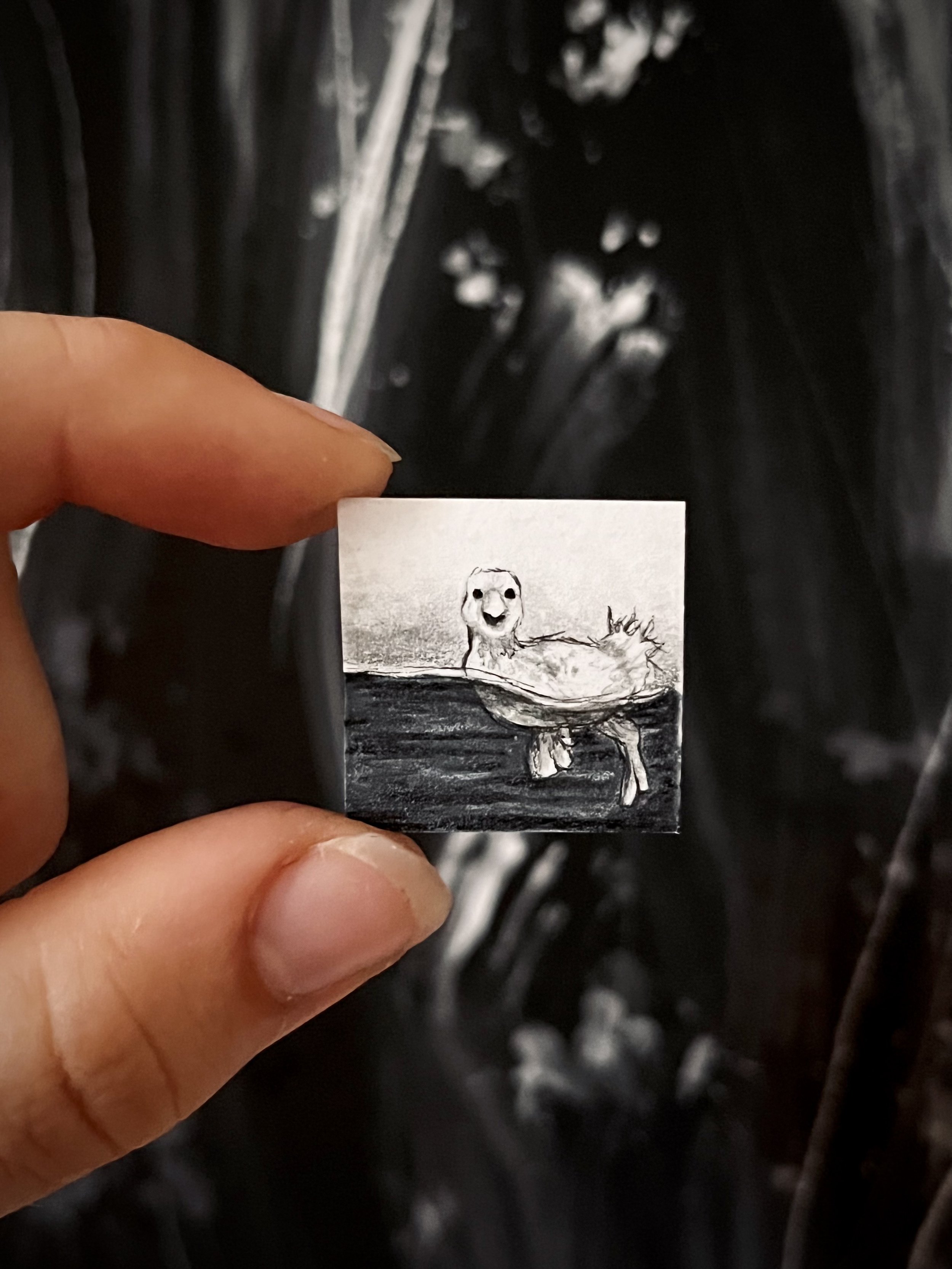 Zing the Duckling