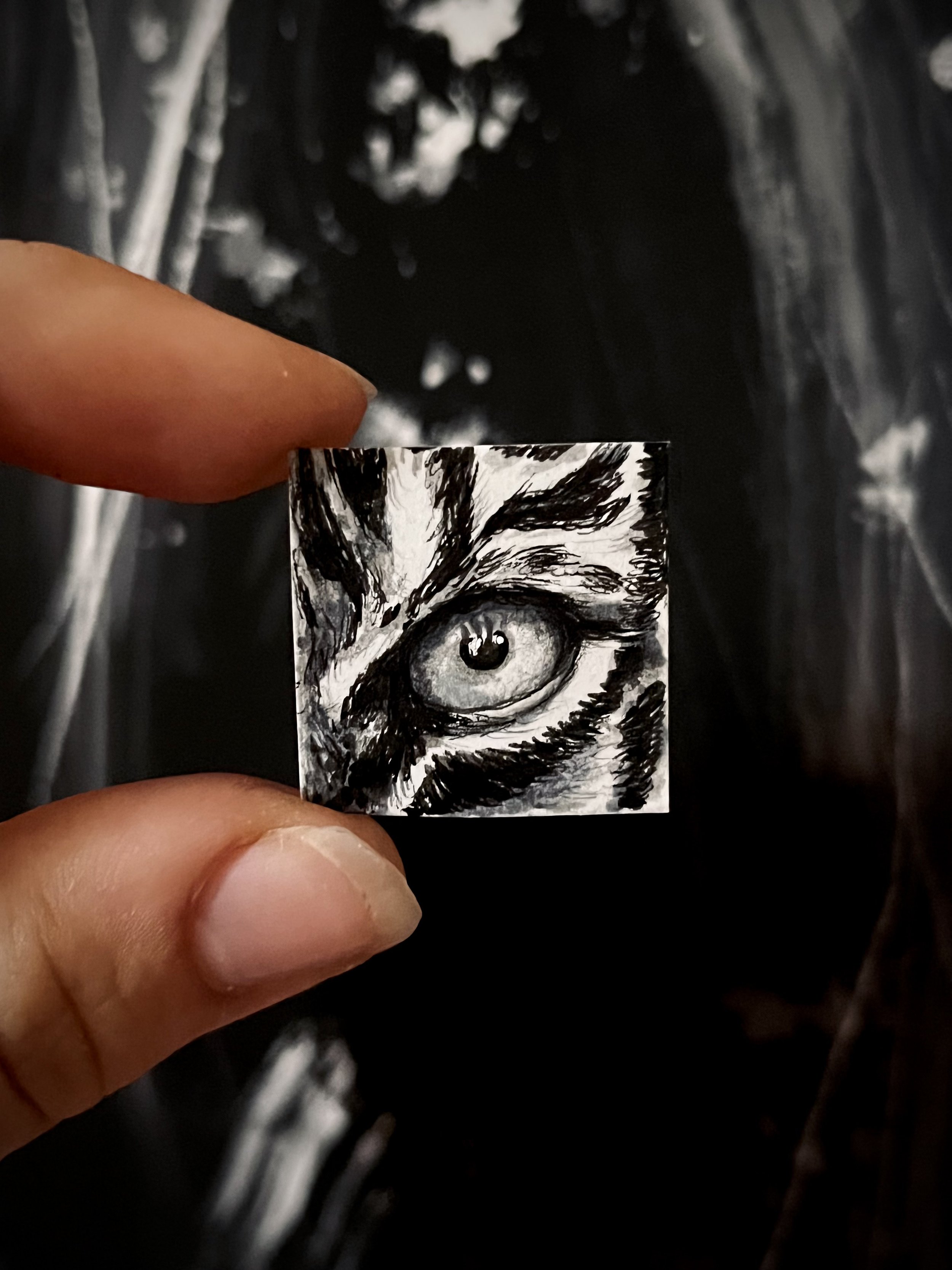 Eye of the Tiger