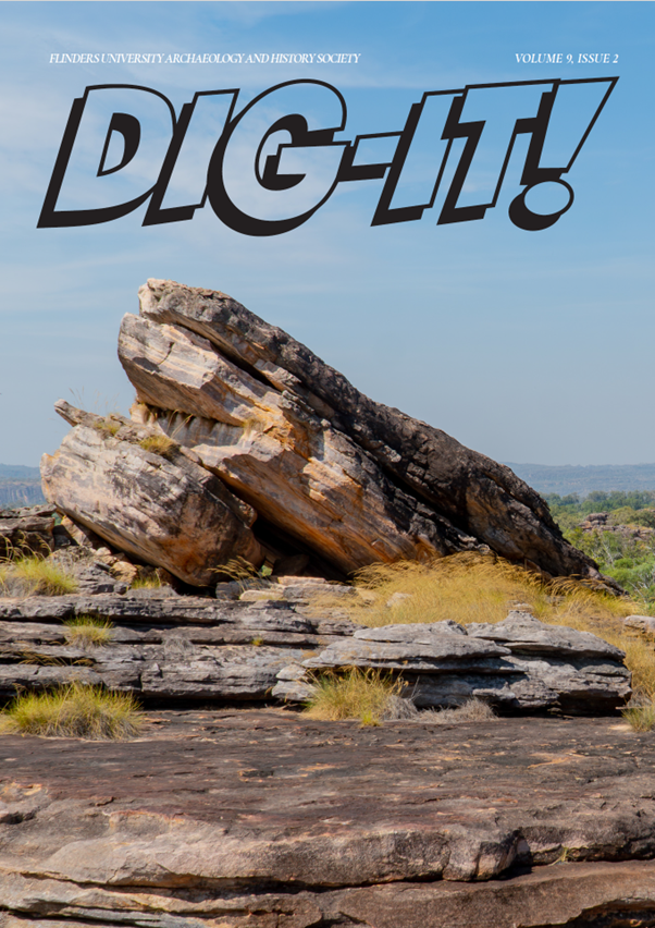 Digit91.webp