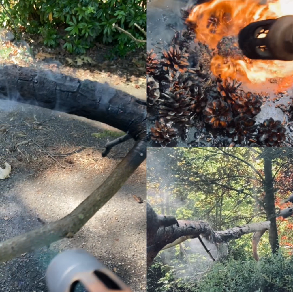 Schermafbeelding 2026-03-10 002022.png