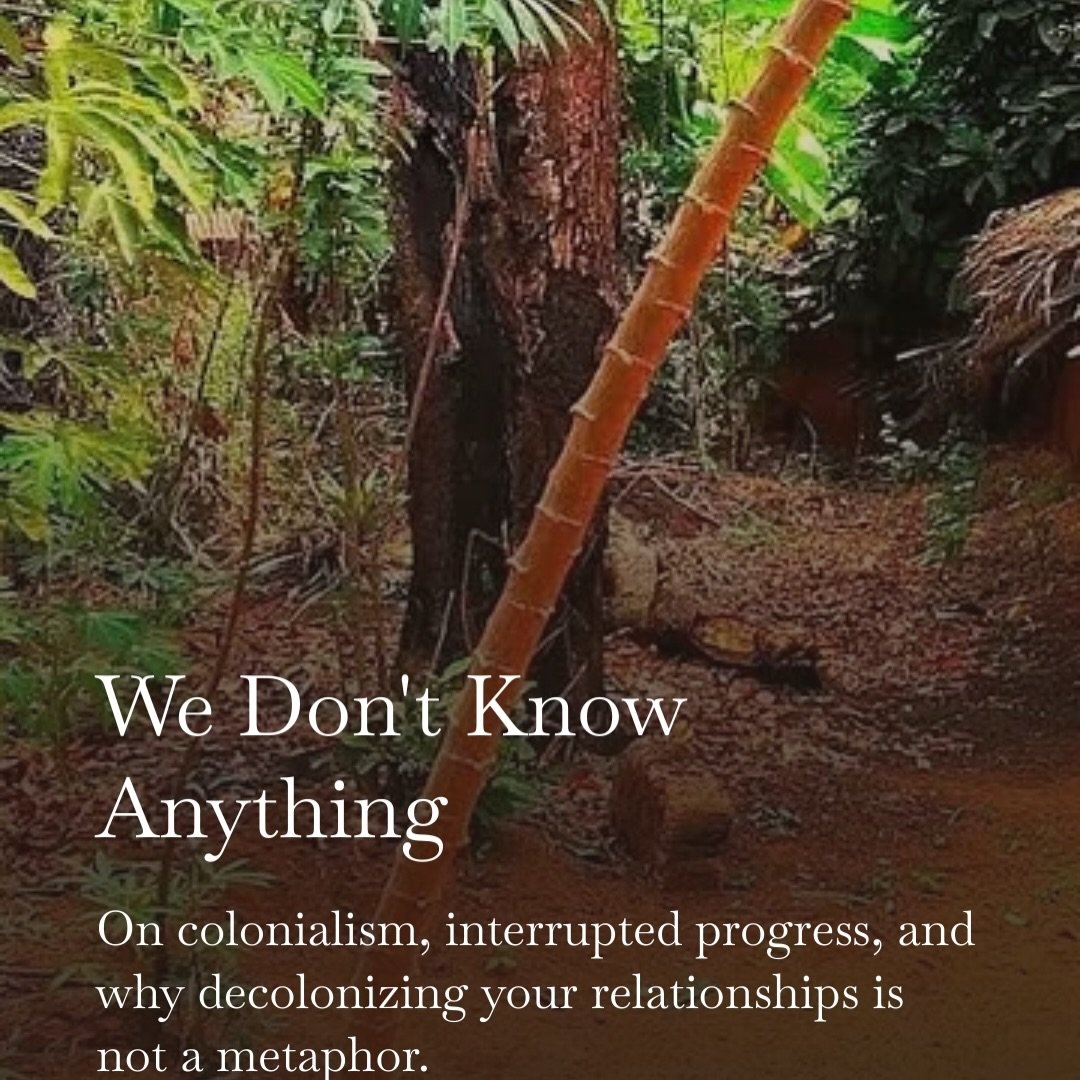 I am a relational skills teacher, not a historian. And the reason I have spent this much time on the history is because I need you to understand where your relational patterns came from before I can ask you to do anything about them.

The colonial pa