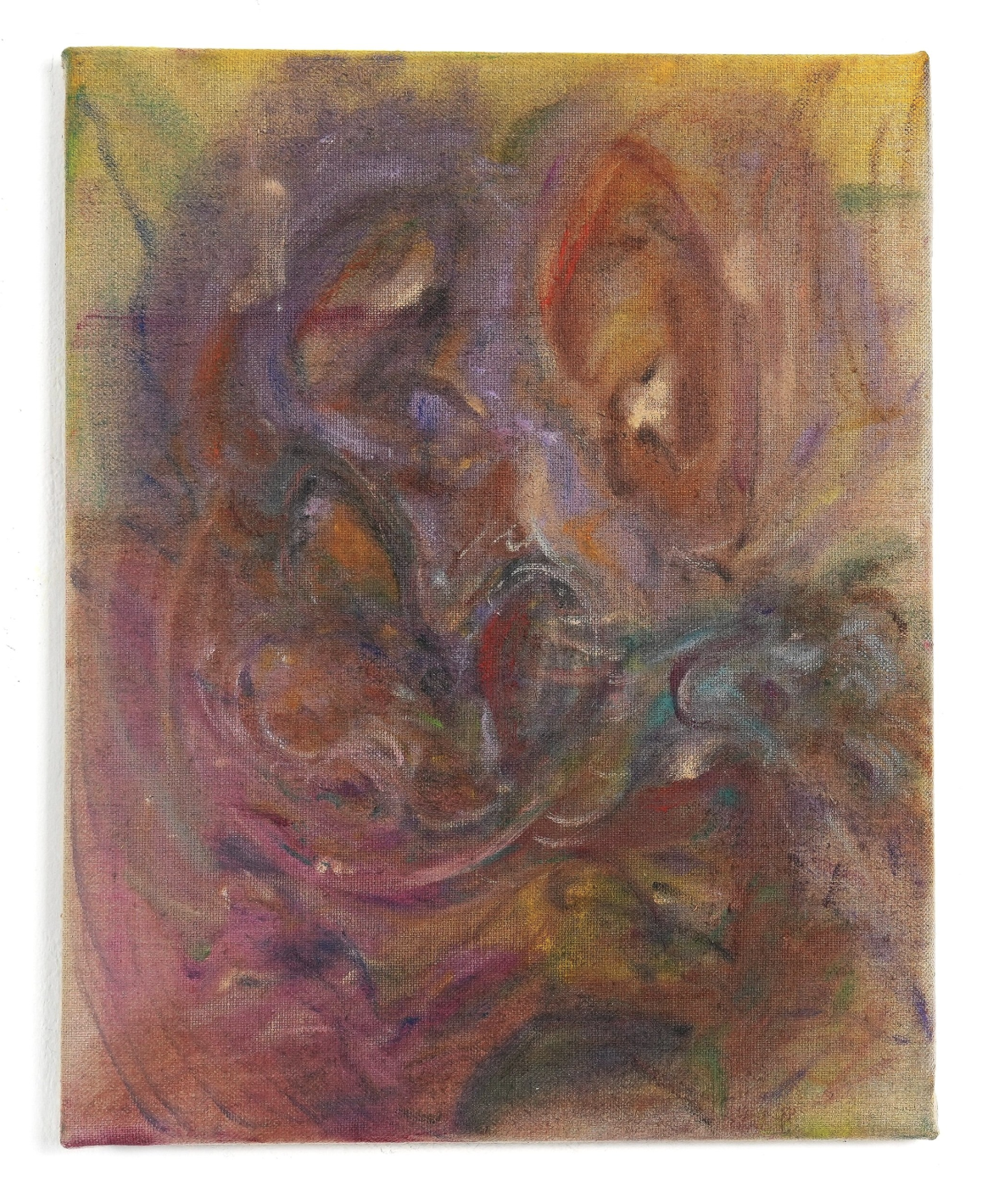 Buzz
oil on linen
34.8x27.3