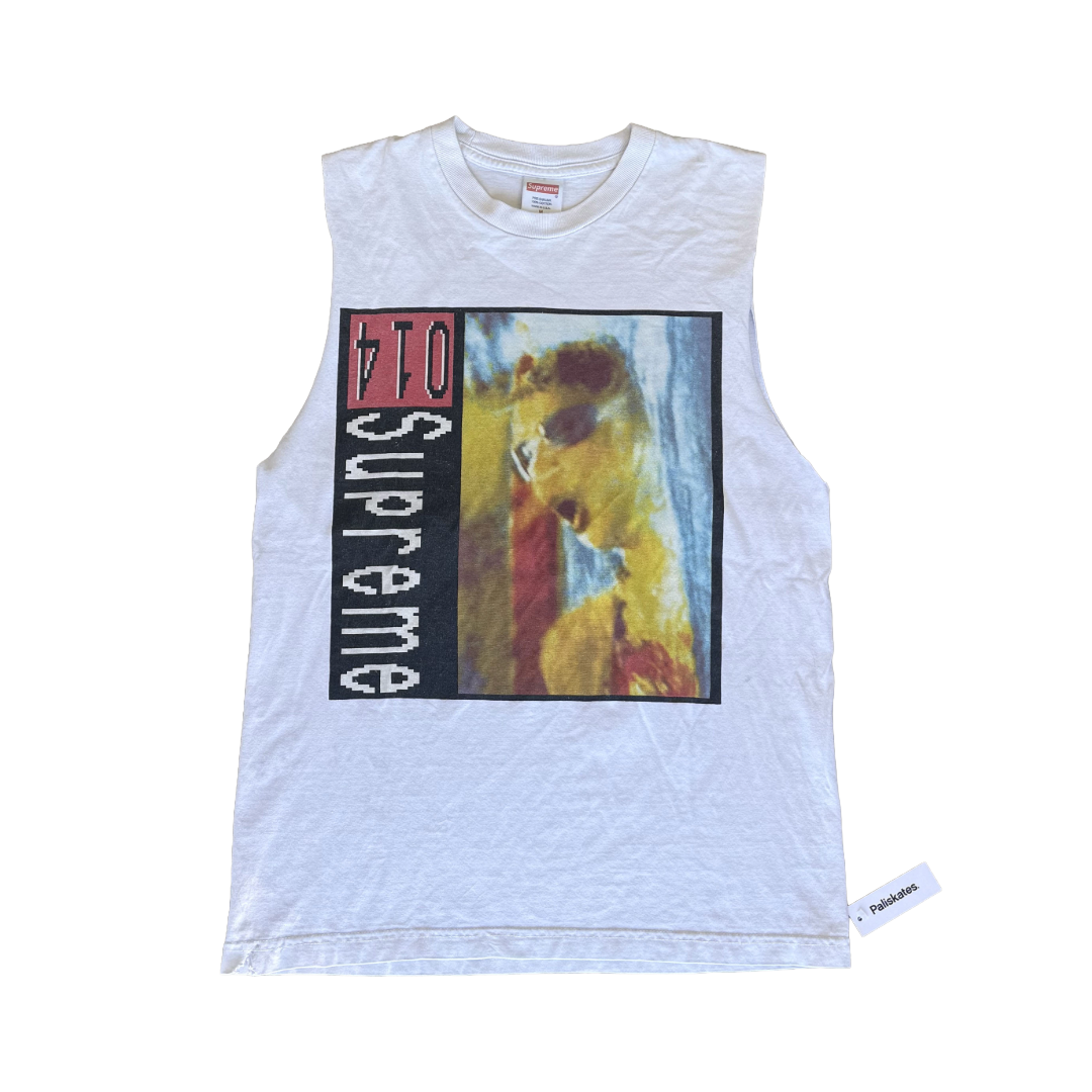 Untitled - 2026-03-15T124024.113.png