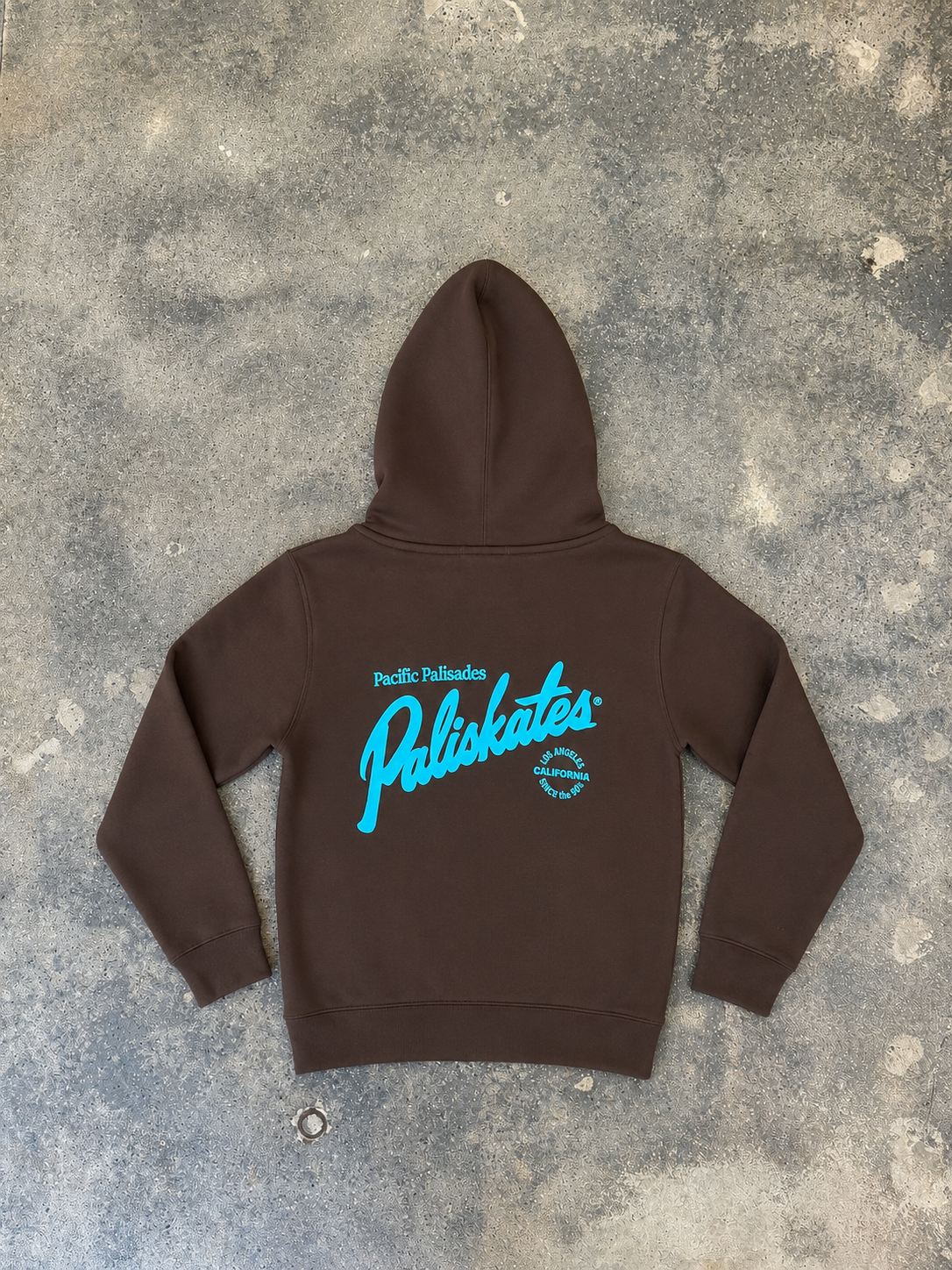 Youth Paliskates Script Hoodie (Chocolate)