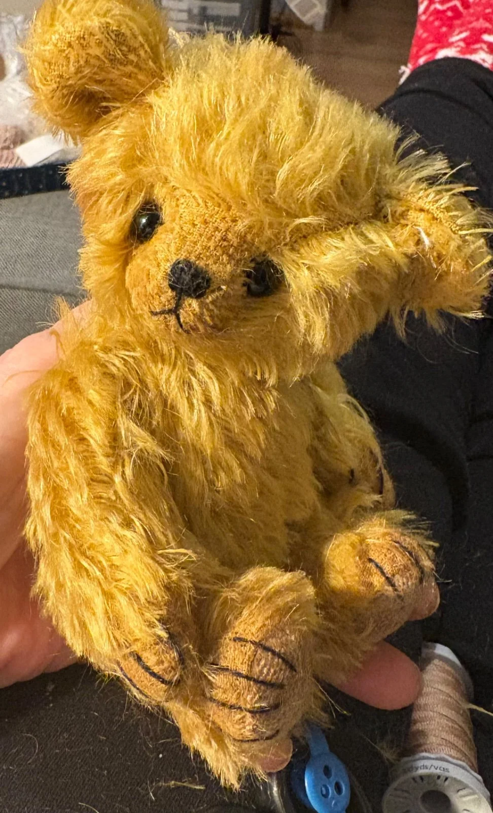 Lilli wird in einer Hand gehalten, Oberkörper und Pfoten aus der Nähe