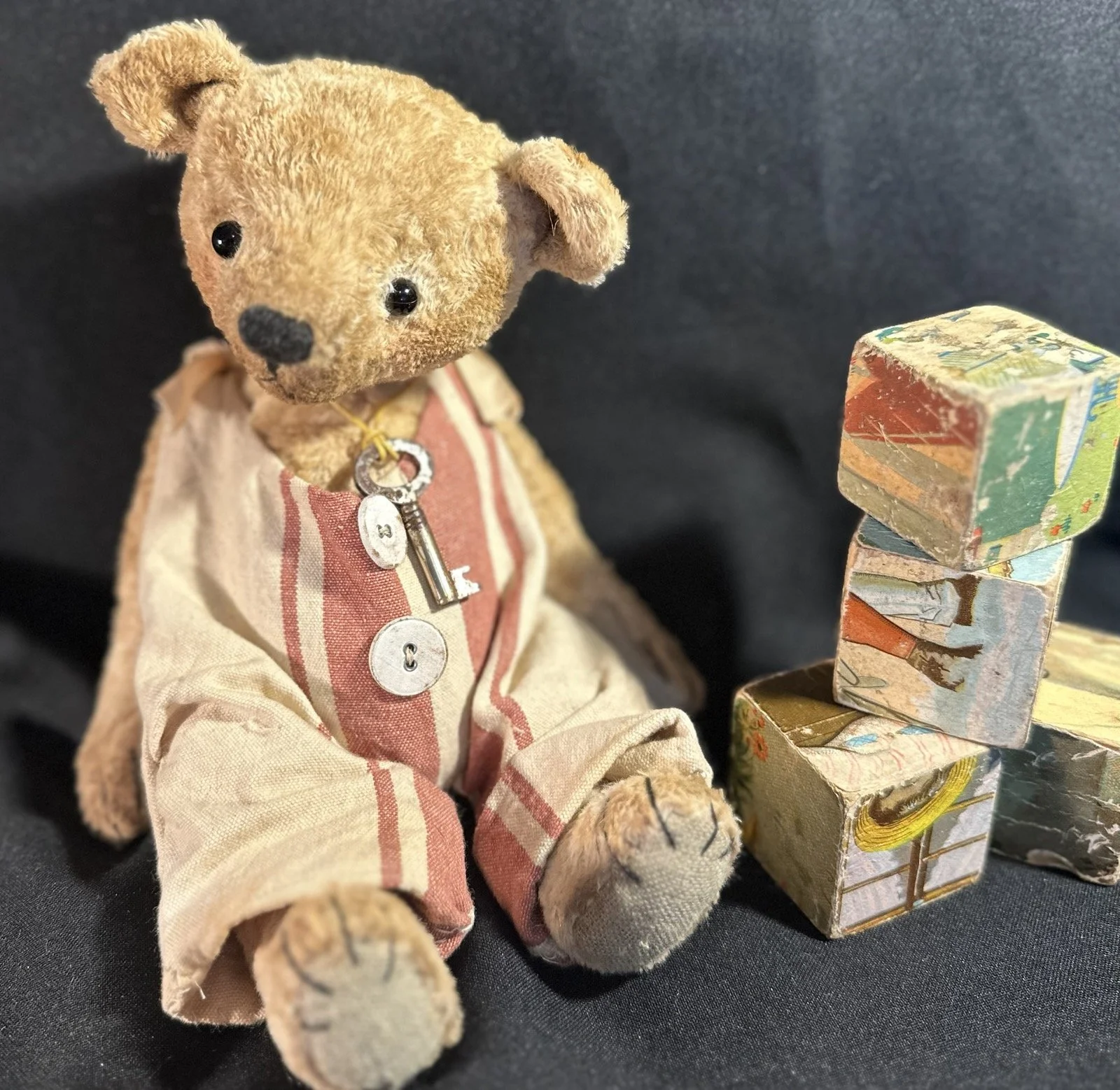 Milosch mit Bausteinen – ca. 25 cm groß, aus Viskose, 5-fach gegliedert. Adoptionsgebühr: 110 €