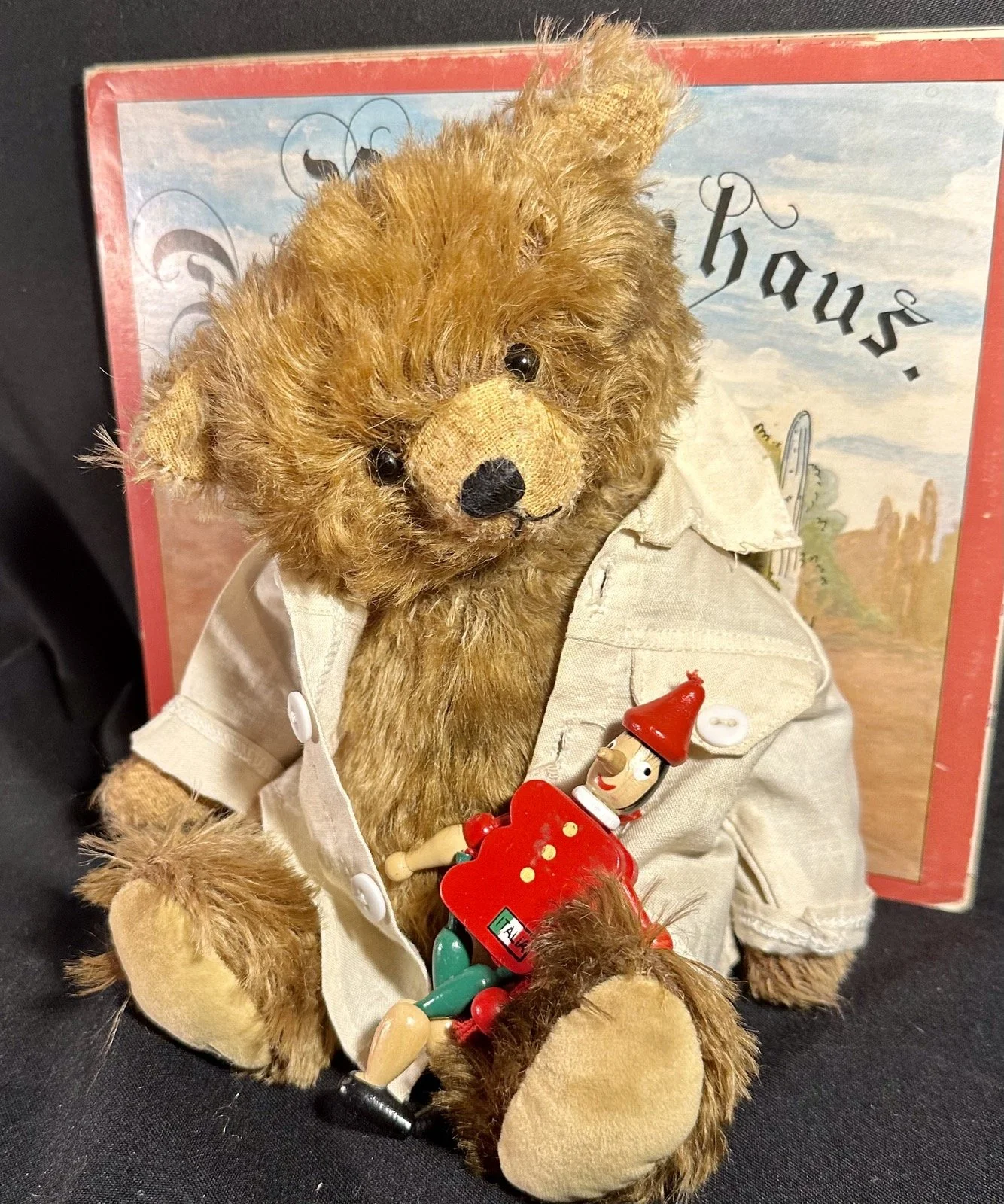 Brummi mit Pinocchio – ca. 25 cm groß, aus Schulte Mohair, 5-fach gegliedert. Adoptionsgebühr: 120 €