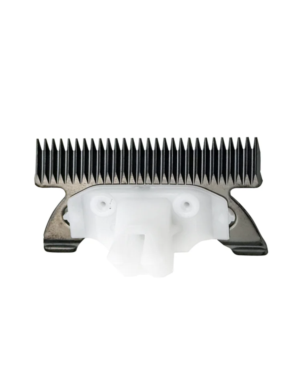 Untitled design (9).png