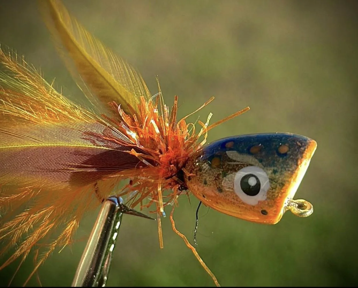  ALTO TOPWATER TERROR ACADEMY…A class on classic bass poppers