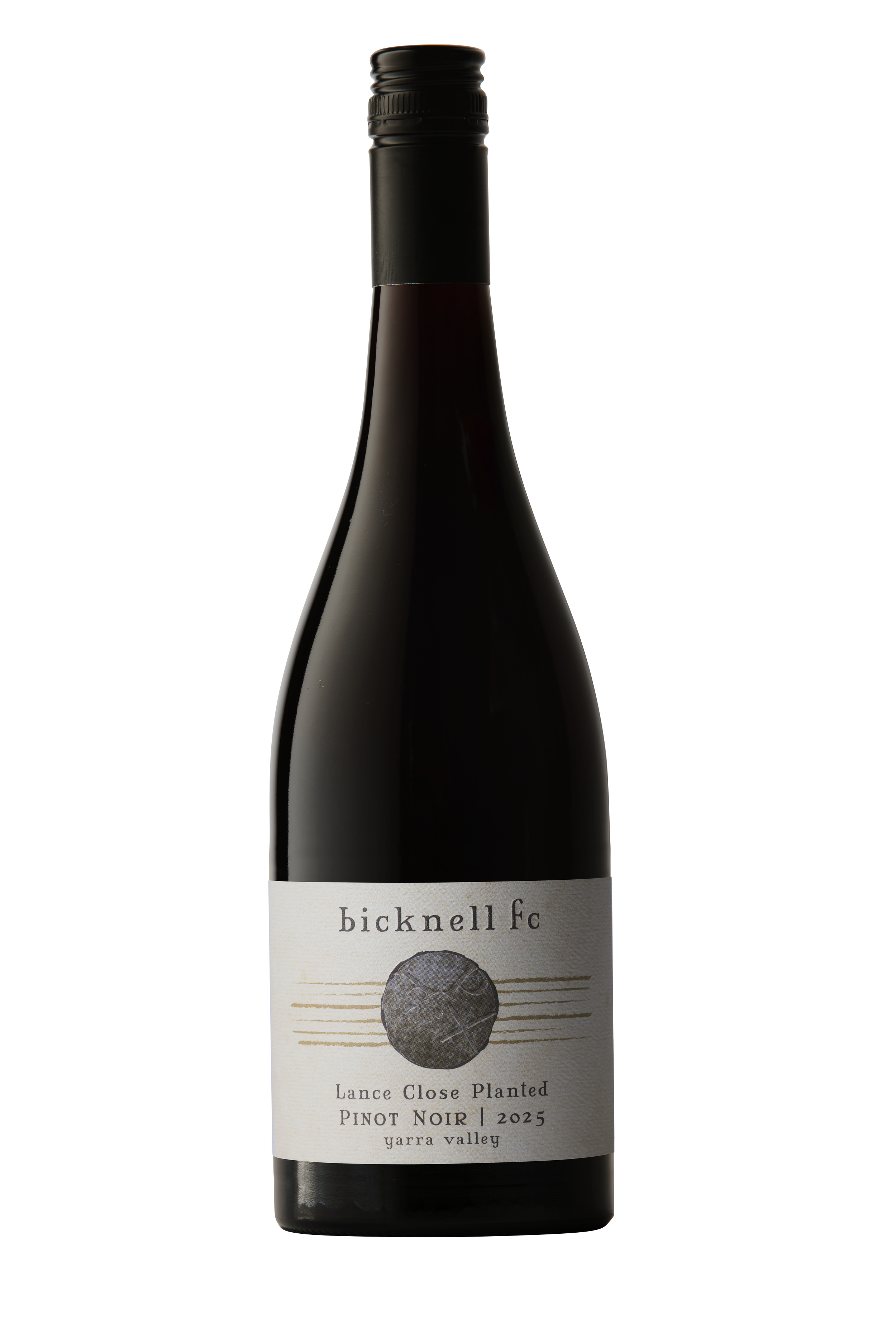 lance vineyard close planted pinot noir 2025
