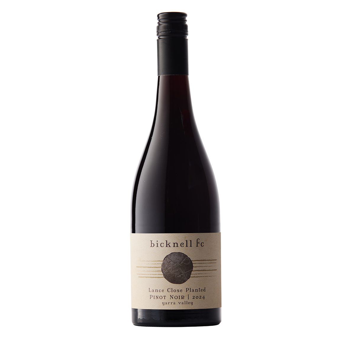 lance vineyard close planted pinot noir 2024