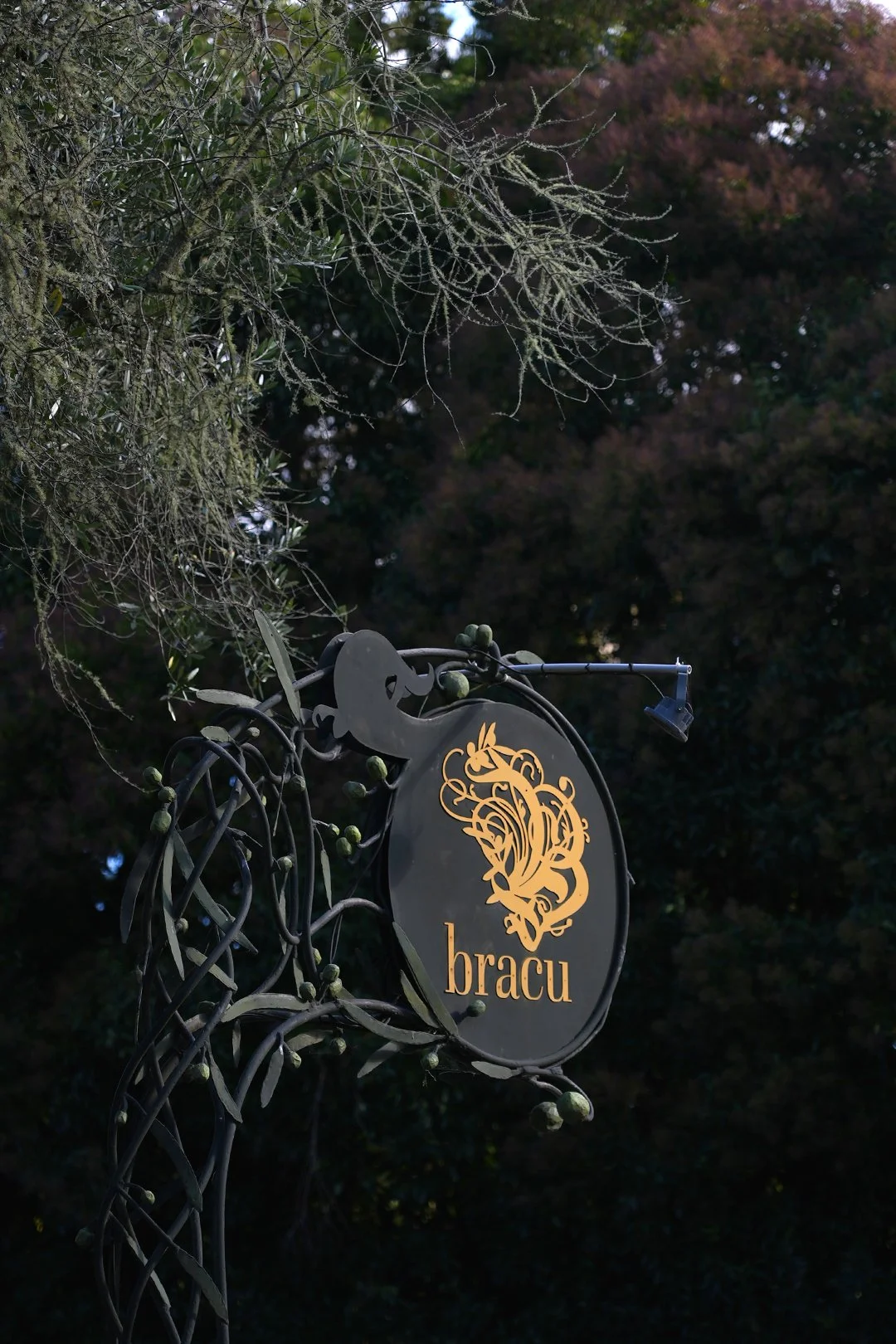 A decorative black metal sign with gold lettering and a design of a dragon, displaying the word 'bracu', mounted on a metal post amidst trees and foliage.