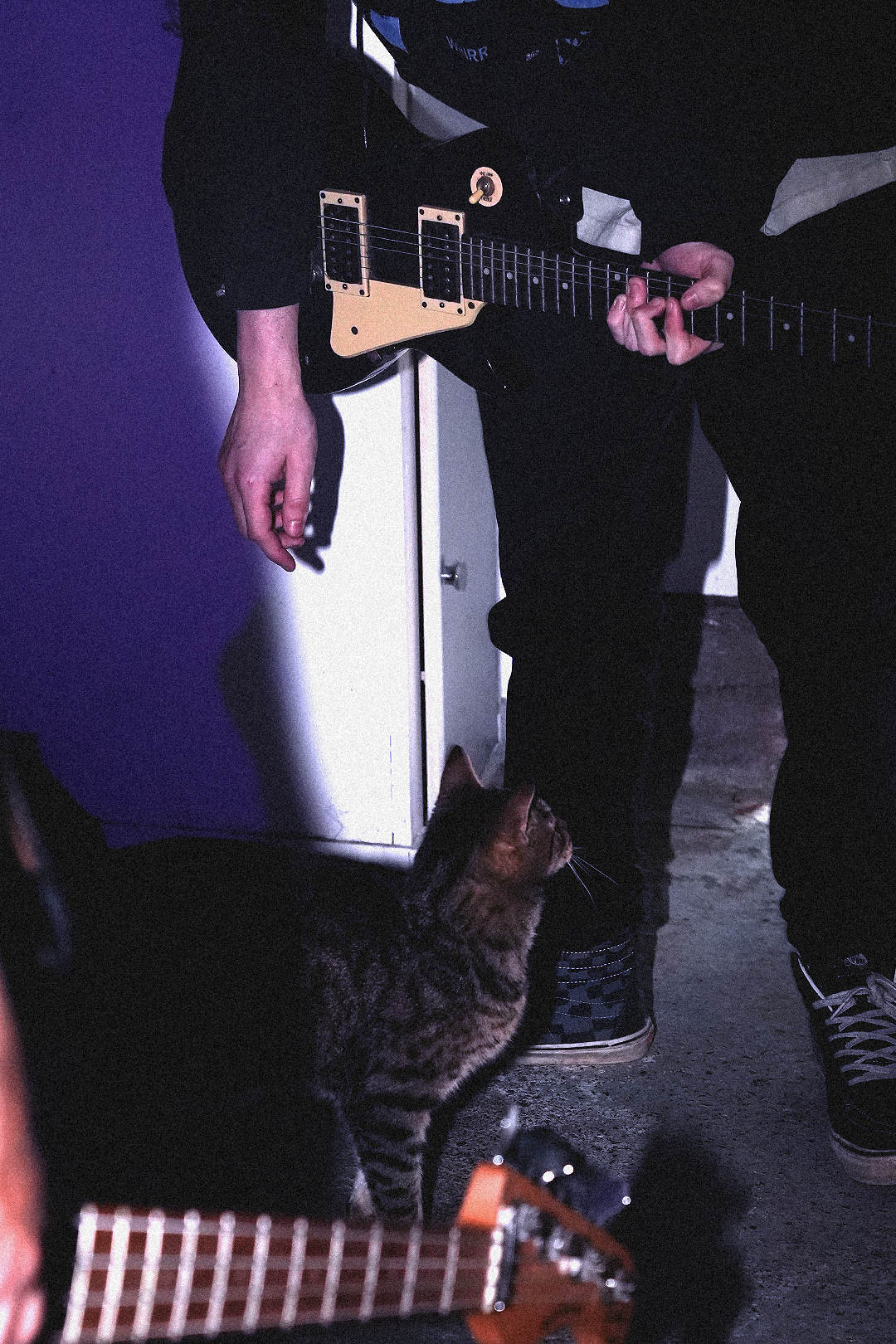 Person playing electric guitar with a striped tabby cat sitting nearby, looking up.