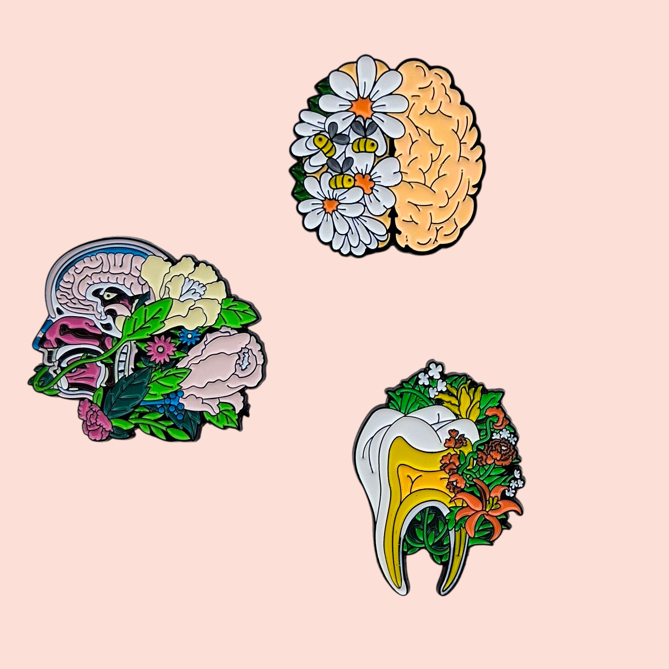 Aimant à aiguilles cerveau sinus dent brain teeth