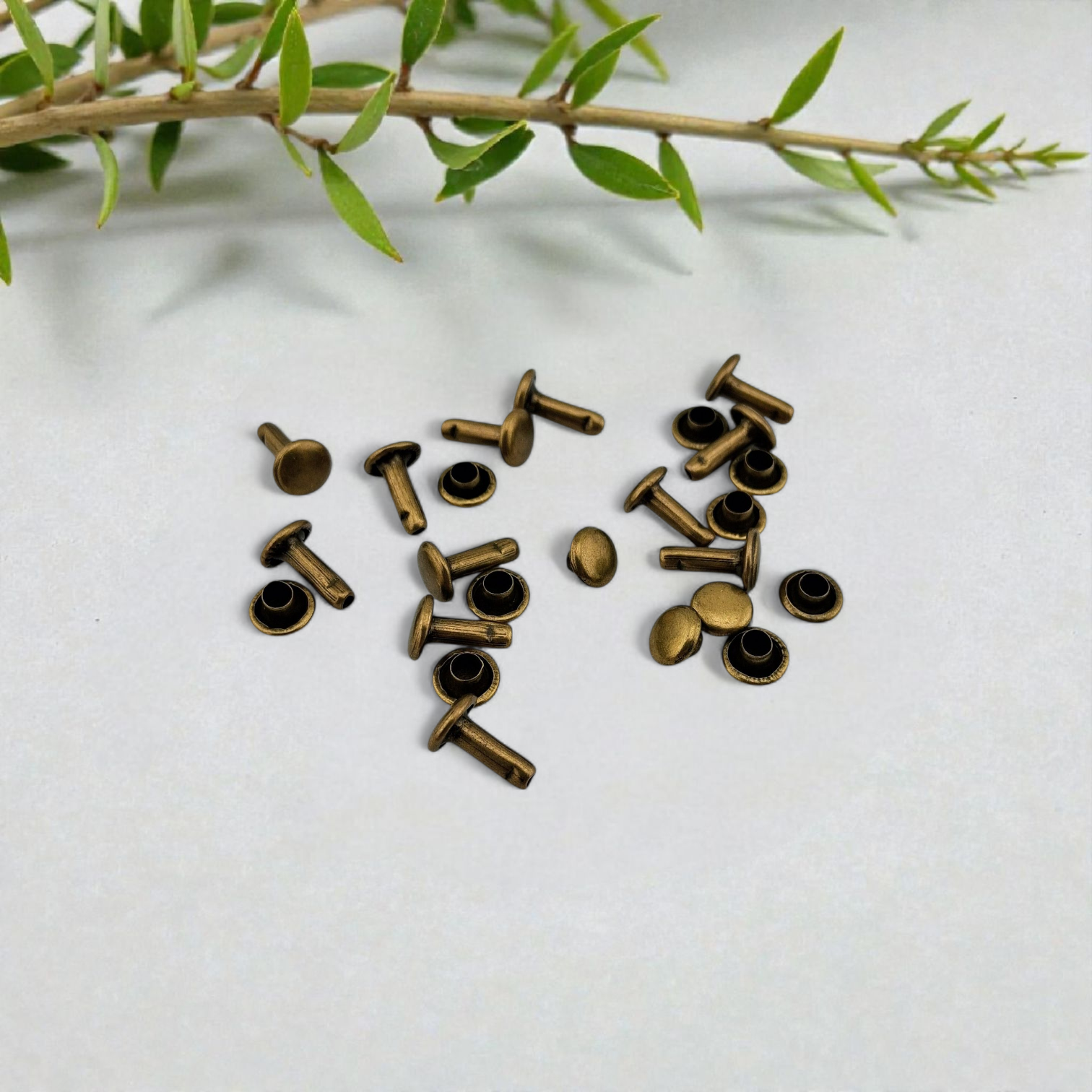 Rivets bronze antique pour étiquettes labels studs