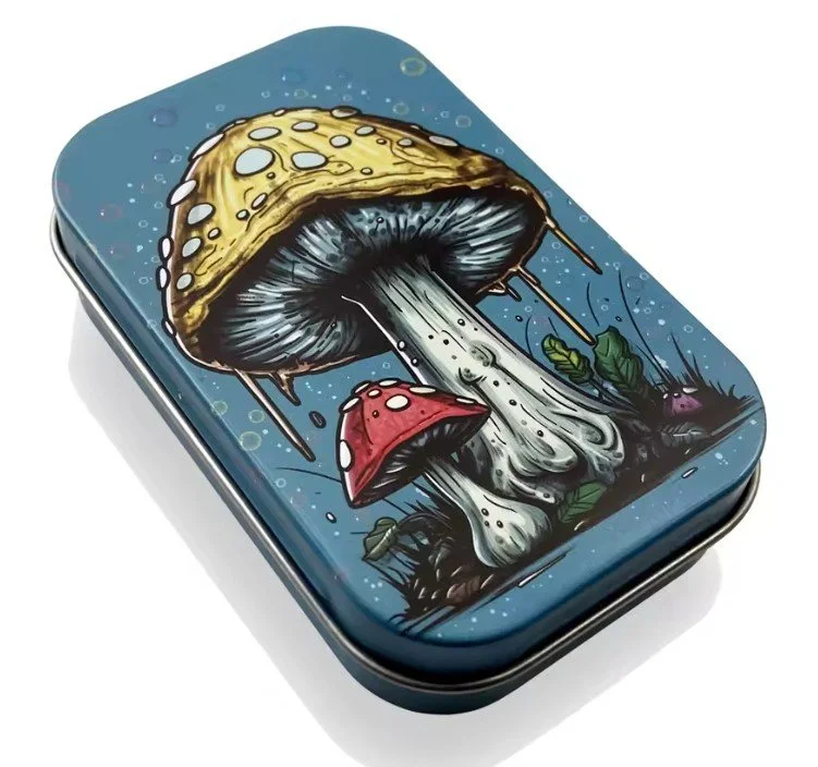 Boîte métallique compacte à charnière Amanite tin box