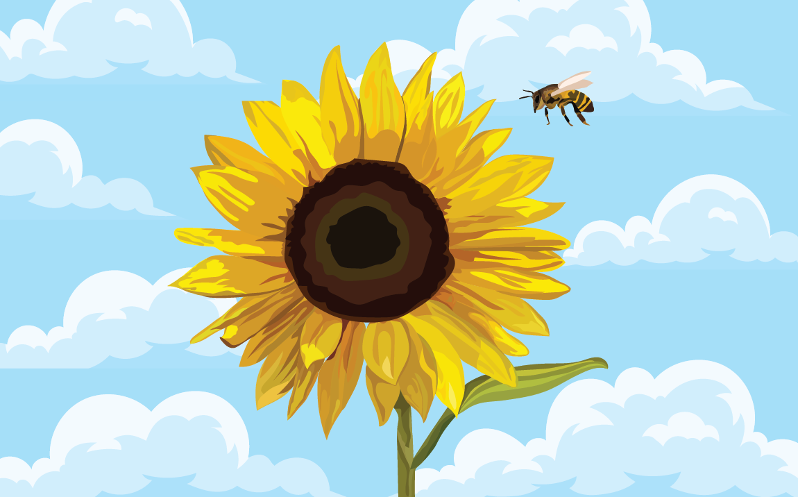 Spring-Sunflower.png