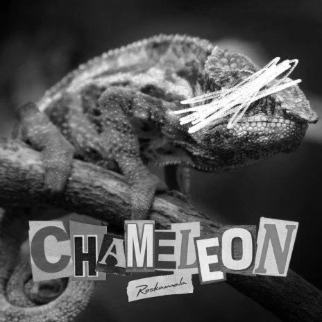 Chameleon