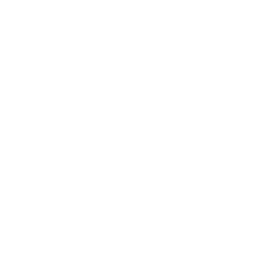 Black and white logo with the letters 'FX' in a bold, stylized font