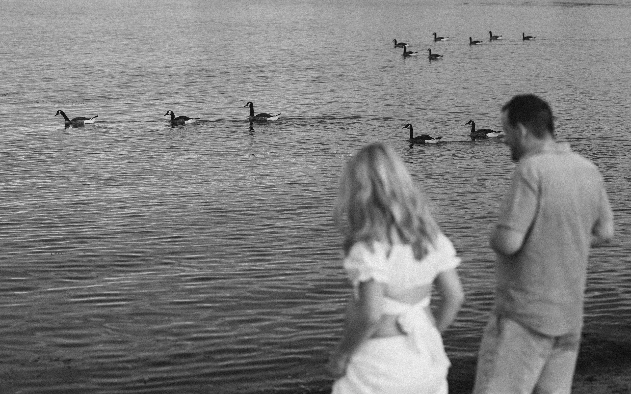 great island common maternity couple-4.jpg