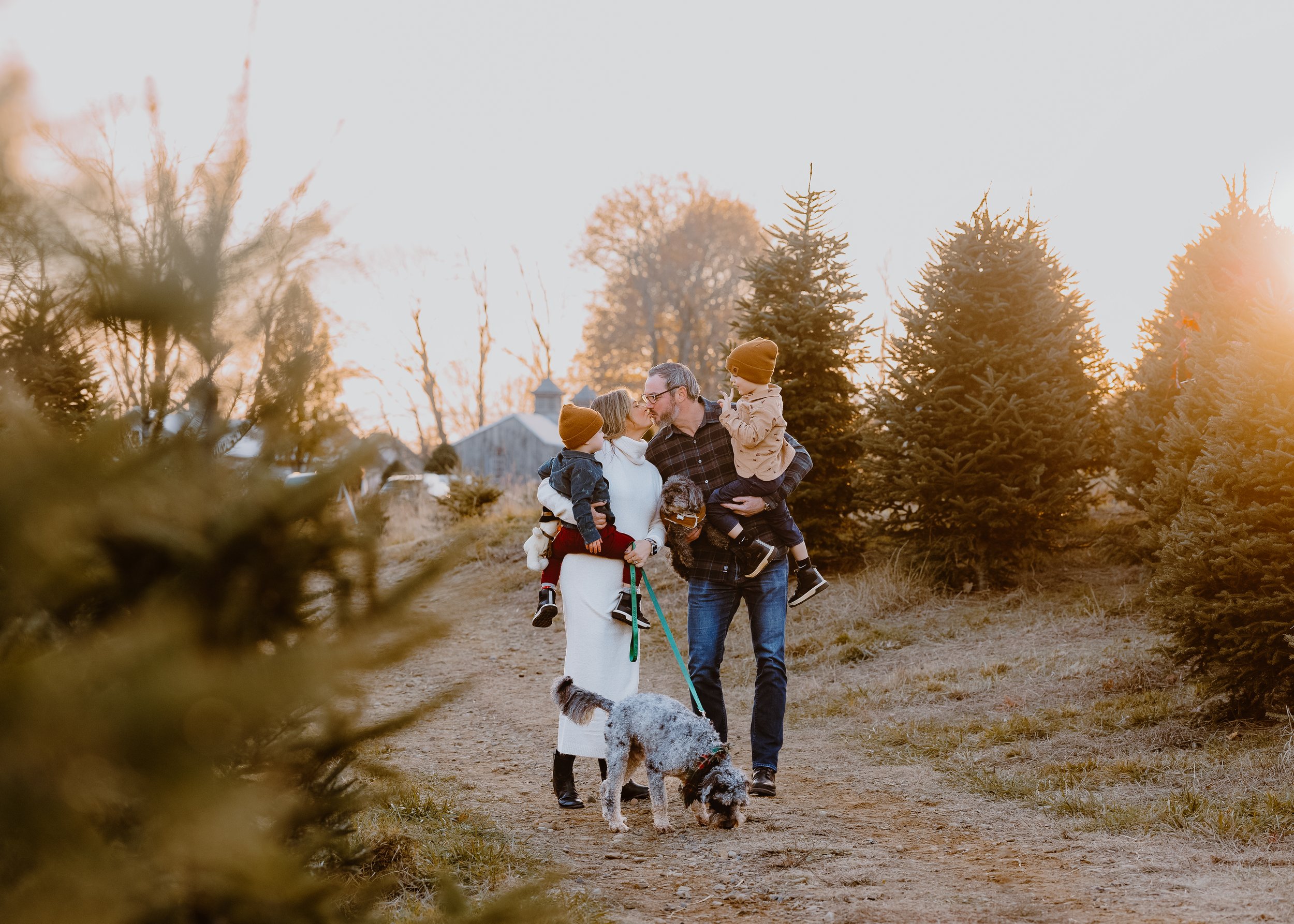 tree farm family berwick.jpg