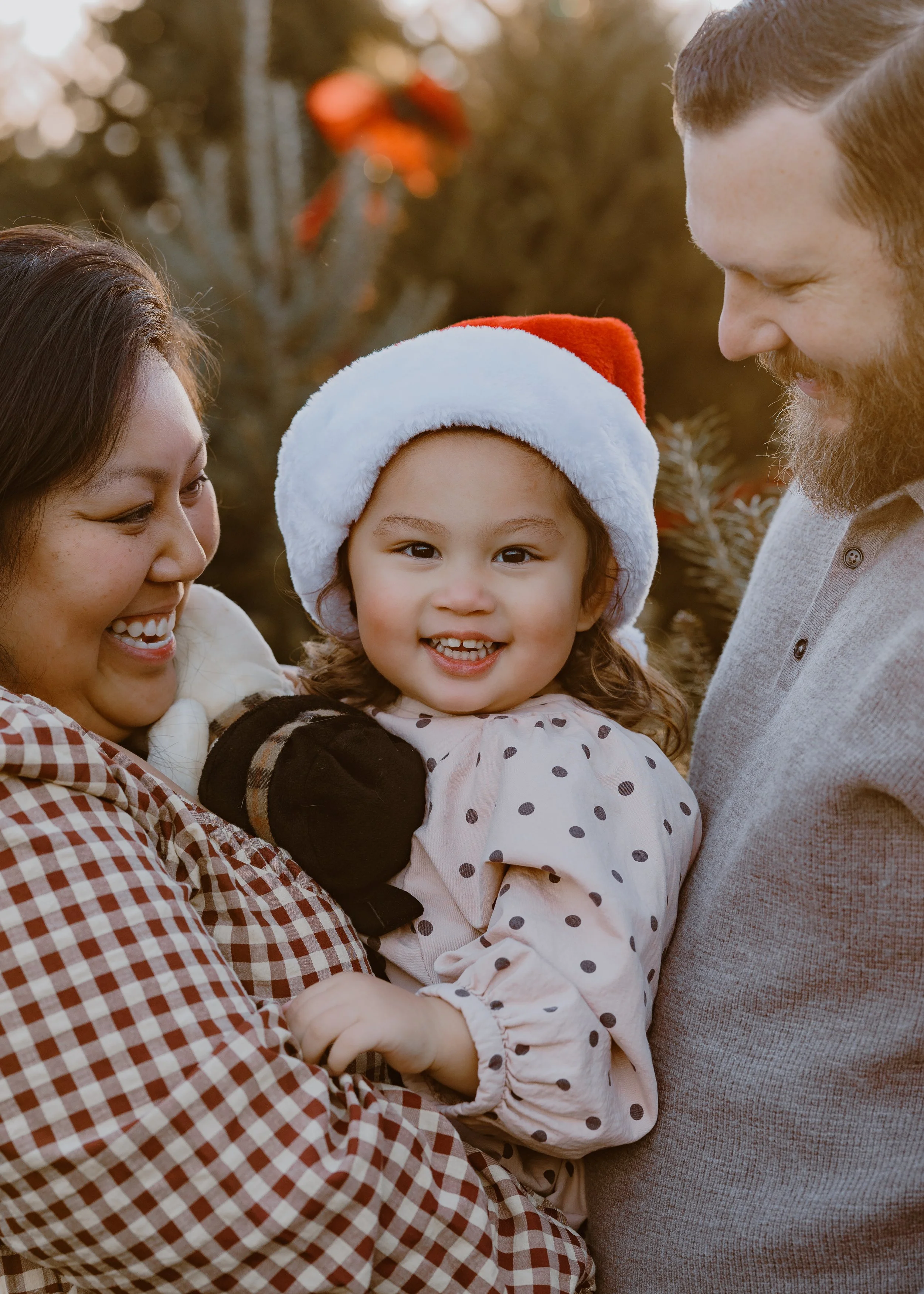 tree farm mini family .jpg