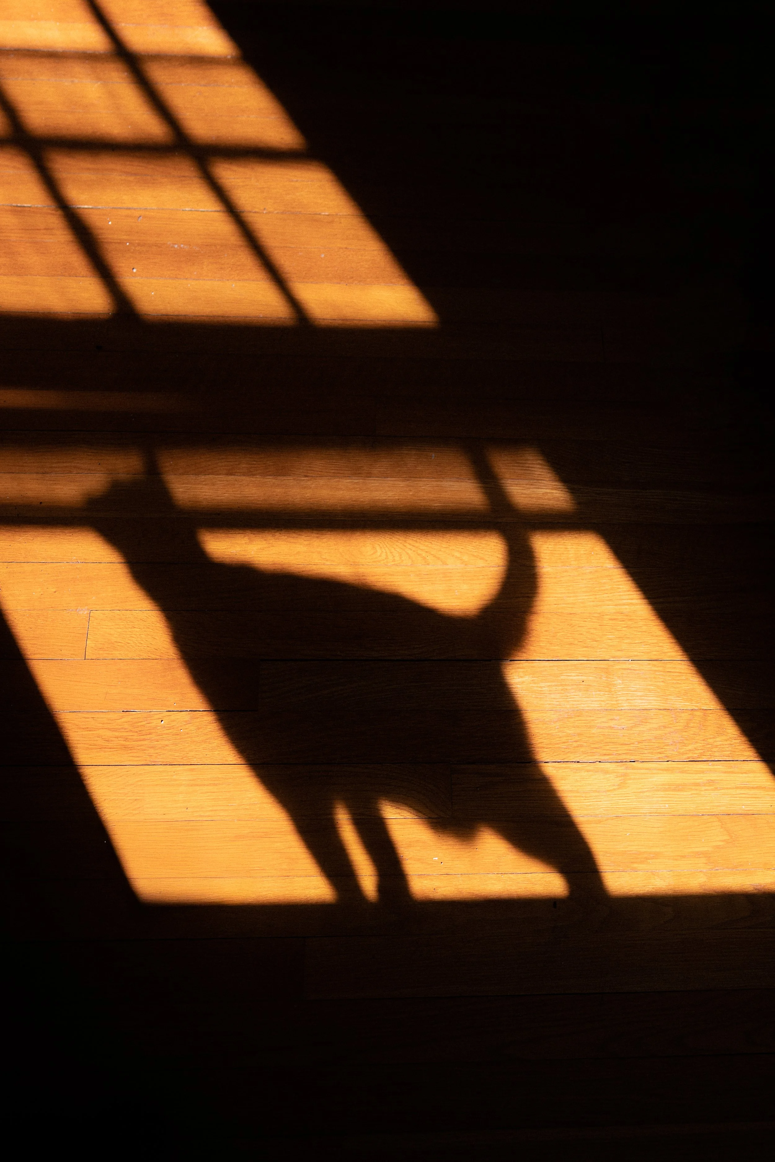 381A2042-Edit.jpg