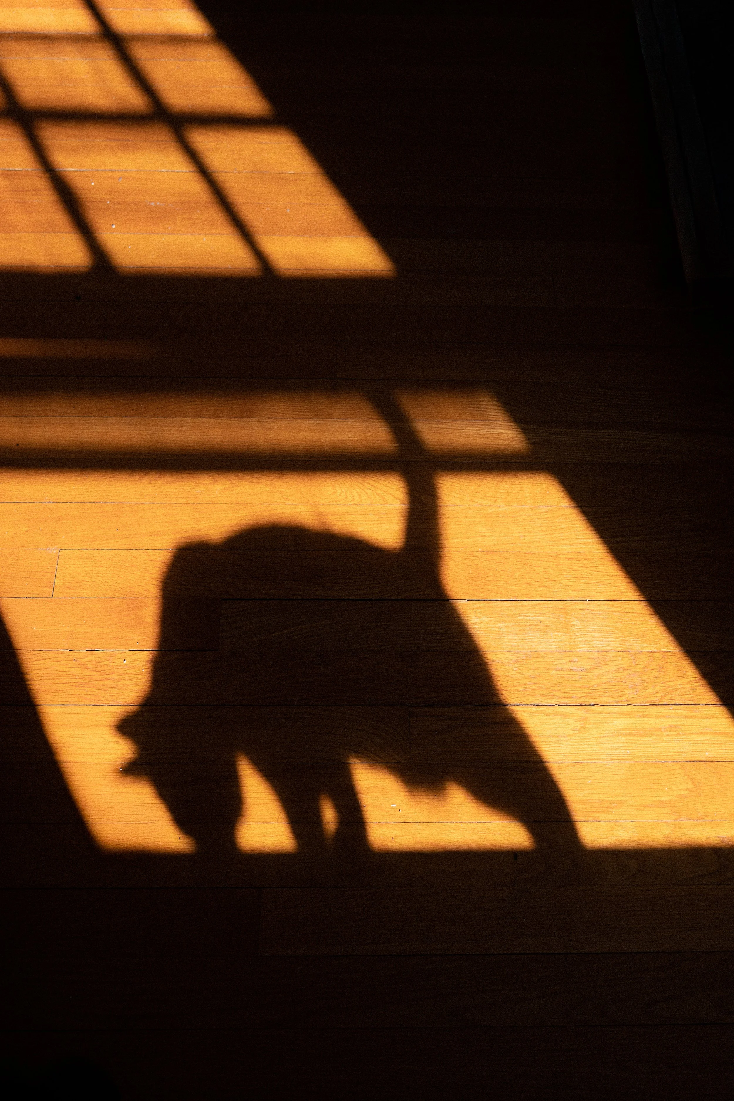 381A2035-Edit-2.jpg