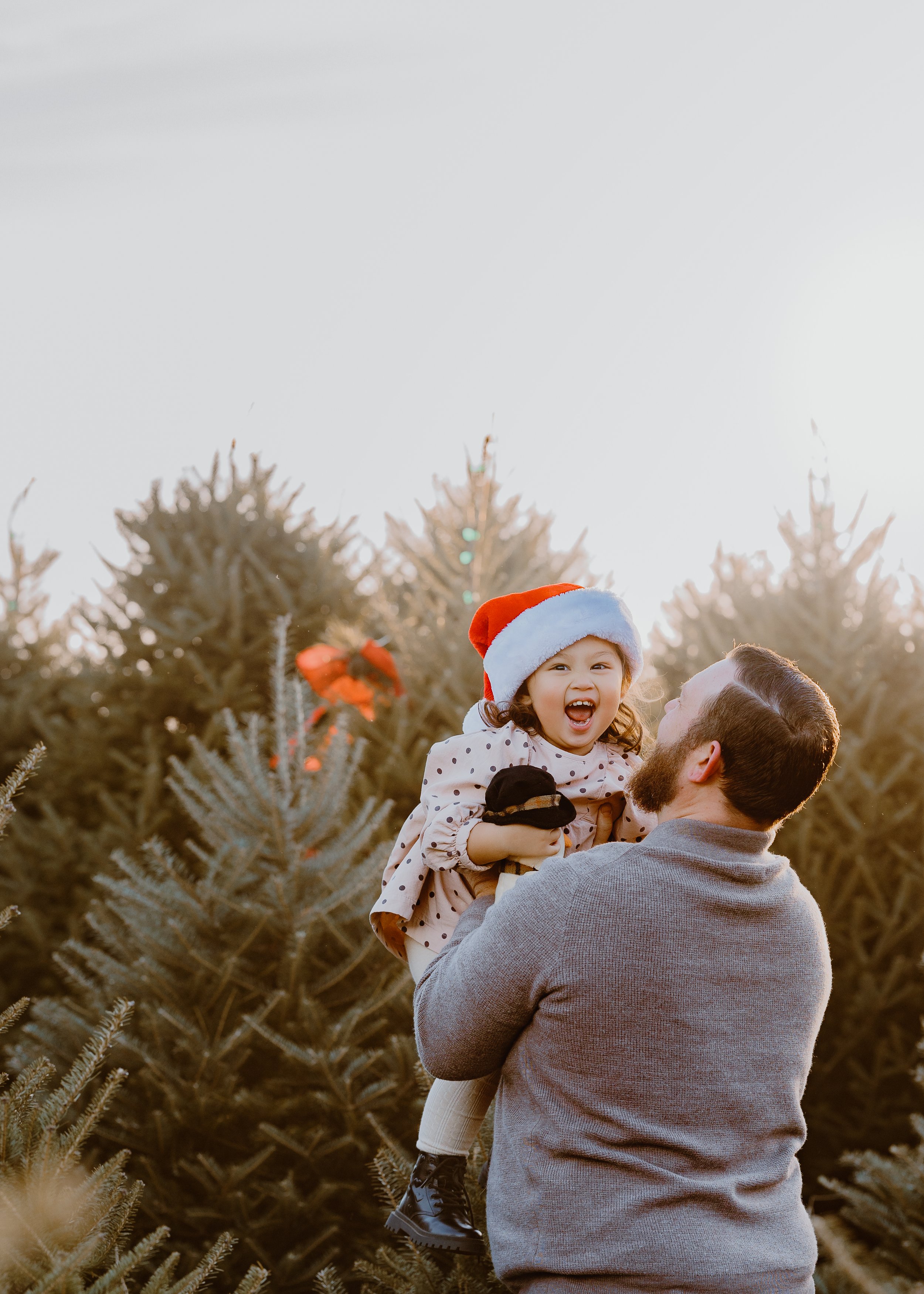 tree farm mini family -2.jpg