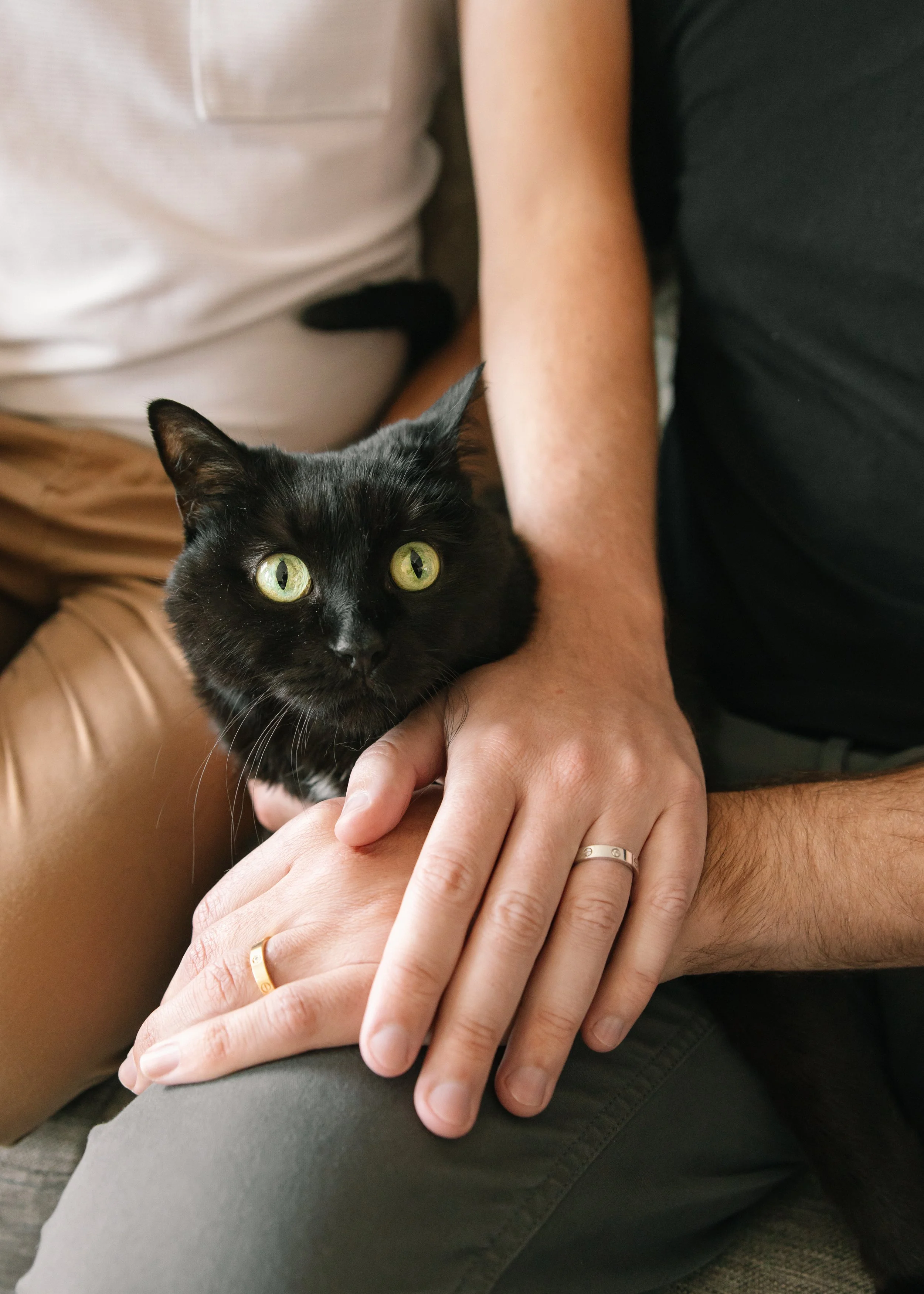 couple pets portsmouth-2.jpg