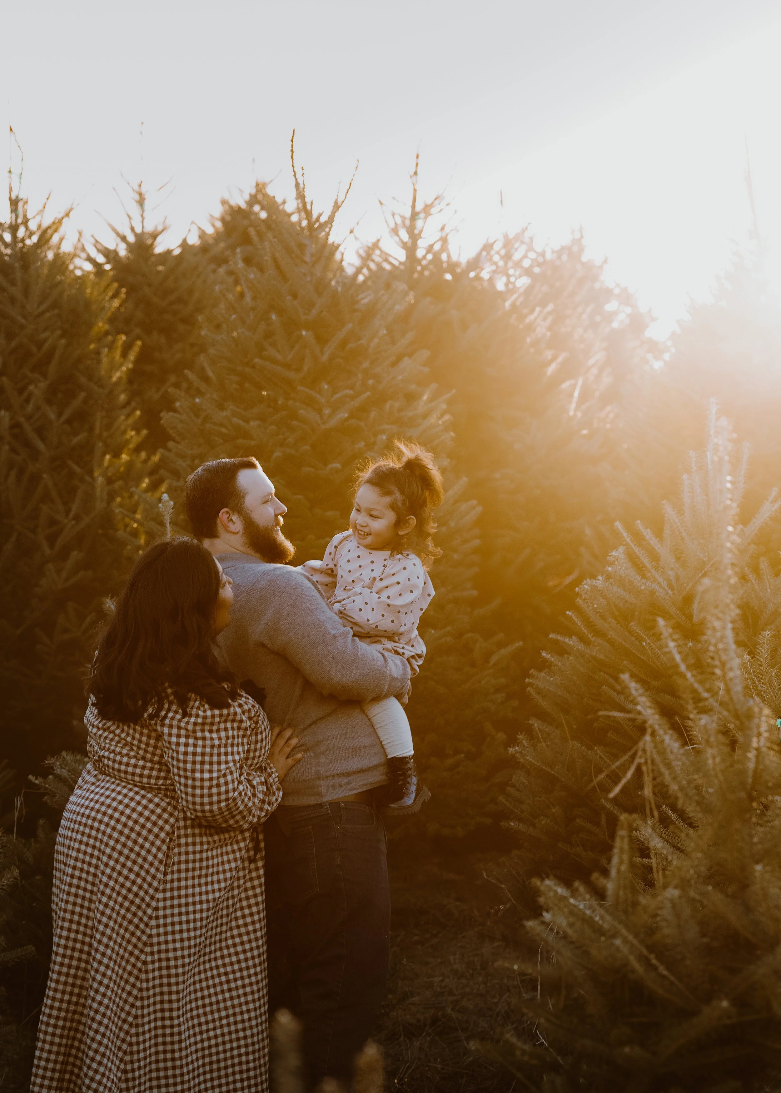 tree farm mini family -3.jpg