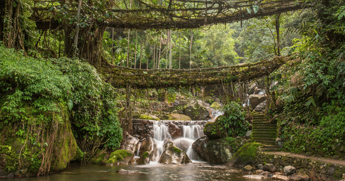 How Nature Became Architecture In Meghalaya
