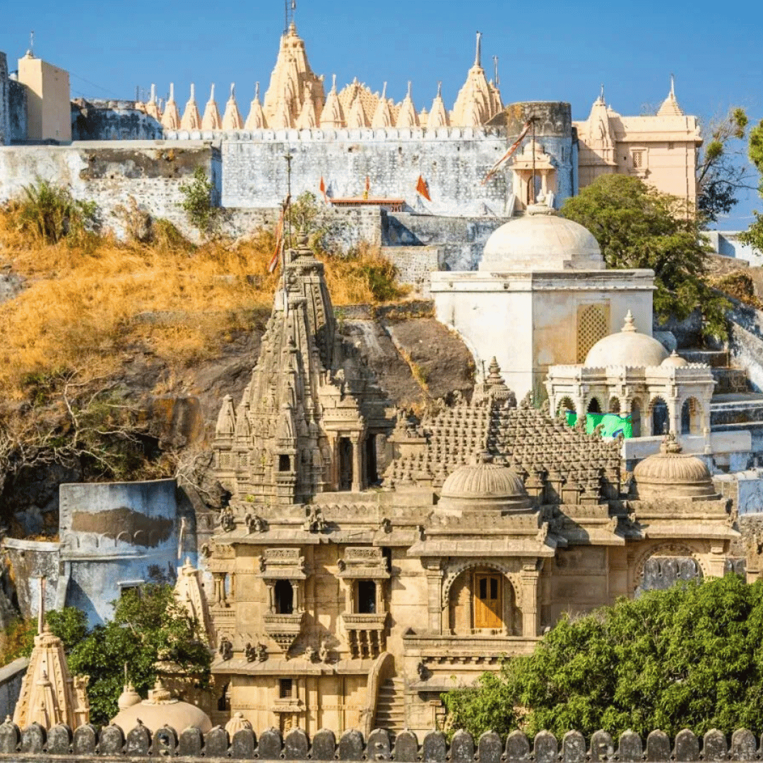 Backroads Of Gujarat & Rajasthan (5).png
