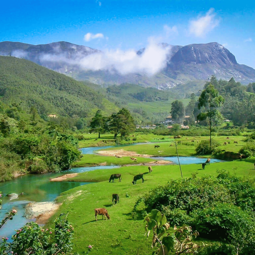 11 Days - Western Ghats Walking Tour