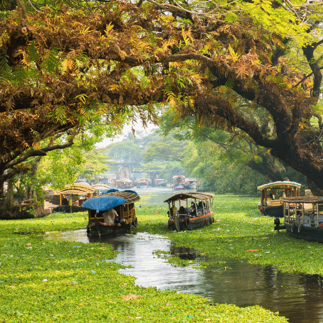 10 Days - Quintessential South India