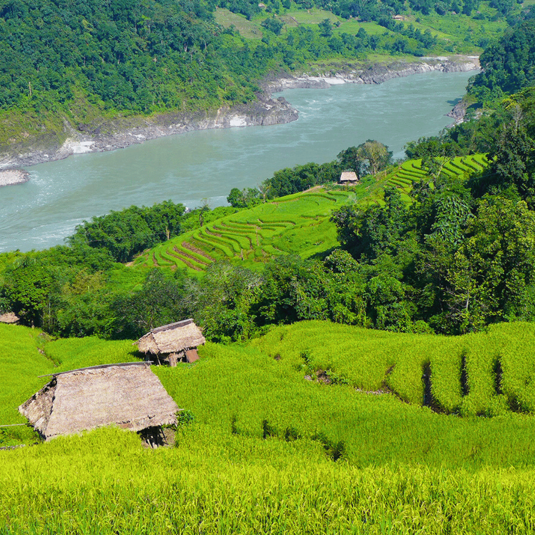 Ziro Valley