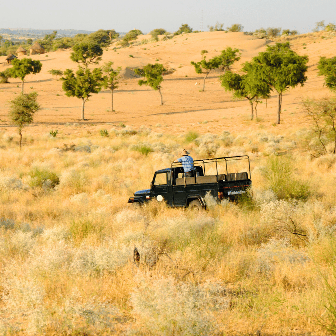 Desert Experiences.png