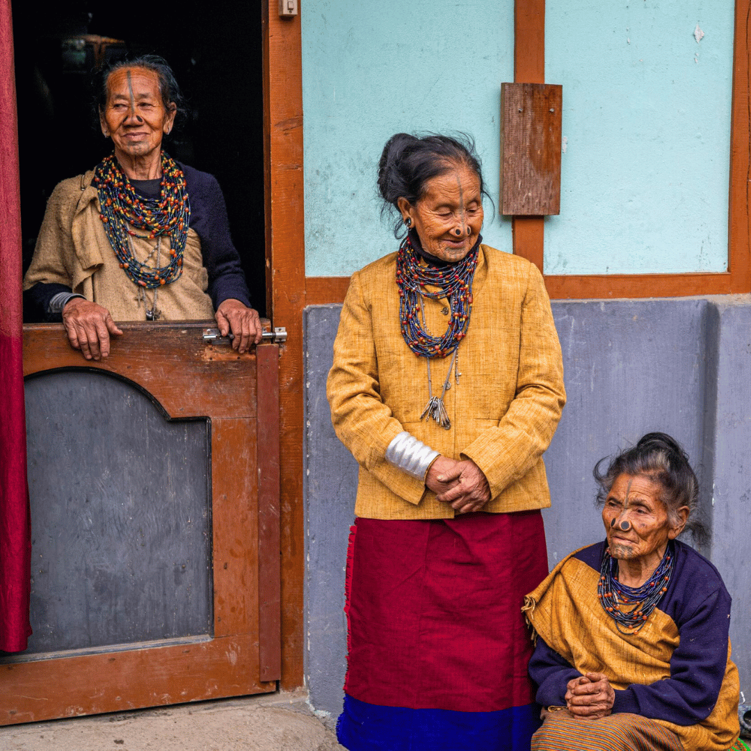 North East India In Depth.png