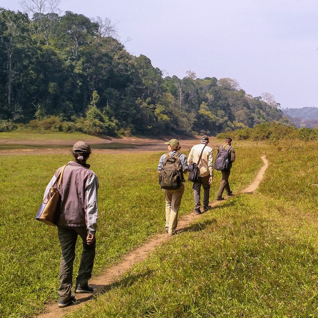 Kerala Walking Tour (4).png