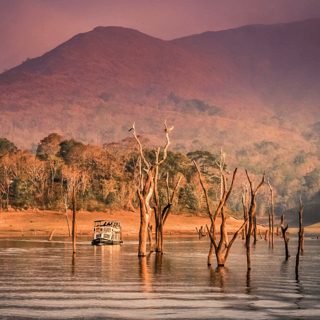 Hike, Bike & Kayak In Kerala (2).png